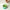 Farmstay- Cica Farm Nature Solution Eye Patch X60